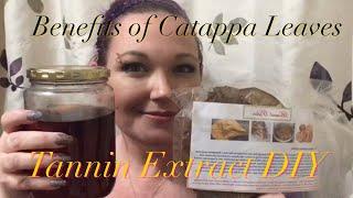 Blackwater Extract DIY | Benefits of Catappa Tannins in Betta Fish Aquarium