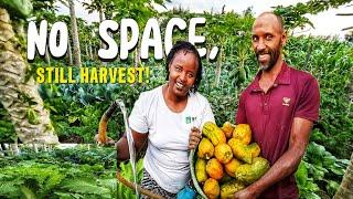 UNBELIEVABLE!  We Finally Turned Our Village Yard into a FOOD GARDEN!!