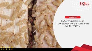 Exterminex is just “Too Sweet To Be A Poison” to Termites