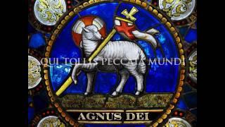 Agnus Dei (latin)  Lamb of God