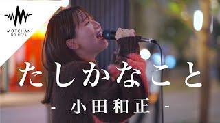 【涙腺崩壊】話題の歌声を聞いた瞬間、鳥肌が半端なかった!! たしかなこと / 小田和正（Covered By  和佳奈）