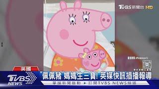 認真的! 動畫「佩佩豬」媽媽迎接三寶 英媒大篇幅報導｜TVBS新聞 @TVBSNEWS01