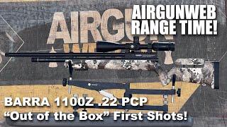 BARRA 1100Z .22 PCP Airgun - Part 1, Out of the box results with JSB Pellets