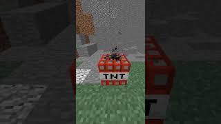 Biggest TNT Explosion in Minecraft  #shorts