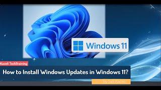 How to Update Windows 11 from Windows Update