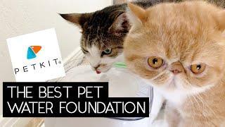 PETKIT EVERSWEET 2 WATER FOUNTAIN REVIEW | SVEN AND ROBBIE