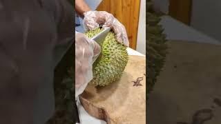 durian montong