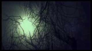 Mahler: Symphony  9 part 4 : Adagio - BPO / Karajan***
