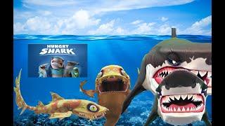 Золотая акулка Hungry Shark 1 часть  Doki Trash