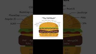 The Full-Stack developer. #code #coder #coder #fullstack #shorts #yt #viral #programmer