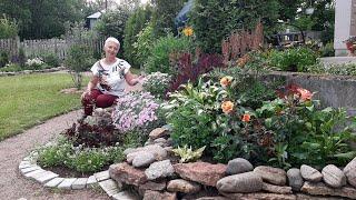 Flowerbed of continuous flowering - BEGINNING OF JULY