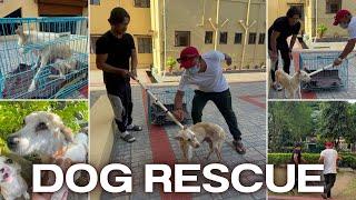 Rescuing the dog that need prompt help! ​@Dolma2018