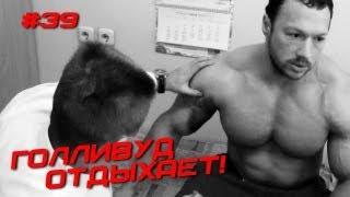 Голливуд отдыхает! #39 ЖЕЛЕЗНЫЙ РЕЙТИНГ