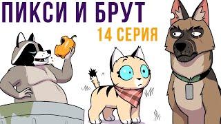 Пикси и Брут. 14 серия. Комикс | Мемозг 623