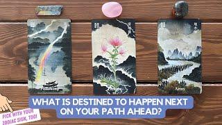 What Is Destined To Happen Next On Your Path Ahead? | Timeless Reading