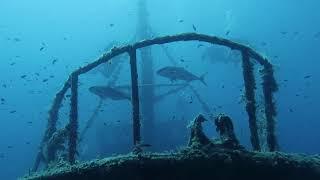 MarCEC | Marine and Coastal Ecosystems Centre | CMMI Cyprus - Cyprus Underwater by Louis Hadjioannou