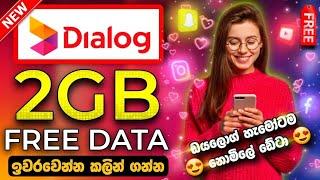 dialog free data 2024 | dialog free data sinhala | dialog free data today | janiYa free data