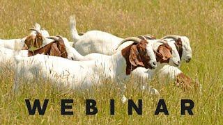 Stock Sense Goat Essentials Webinar - Part 1
