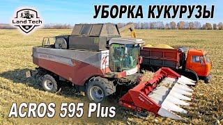 Комбайны ACROS 595 Plus - работа на уборке кукурузы! Жатка ARGUS 870 от Ростсельмаш