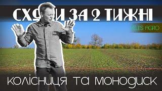 Які сходи у колісниці та монодиска // Експеримент 2 тижні