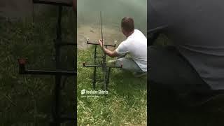 KILLER FISH 007 !!! TAGANKA 2023 !!! #fishing #skigear #carpfishing #insecticida #carp #angling