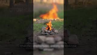 3 Terrifying Camping Stories That Actually Happened