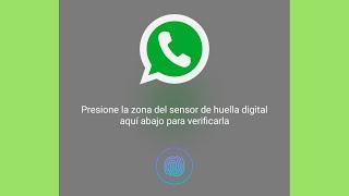 Habilitar o desactivar bloqueo por huella dactilar en WhatsApp o WhatsApp Business | IOS y Android