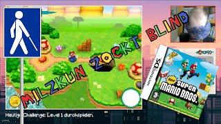 Milzkun zockt blind - Super Mario Bros DS