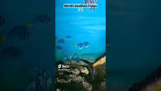 World's MOST Amazing Aquarium Fish Tank  | #shorts