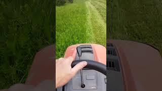 Работа мечты....?!:)