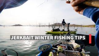 California JERKBAIT fishing tips for WINTER TIME