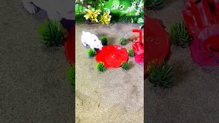 mini tractor mini cow mini water #shorts #shortsfeed