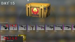 Phoenix csgo case opening || Day 15 || Opening every day a csgo case