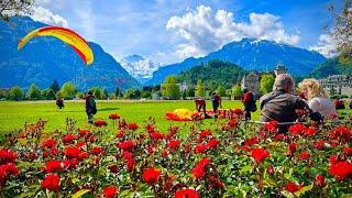 Interlaken , Most Beautiful Town In SwitzerlandTop Travel destination In The World !