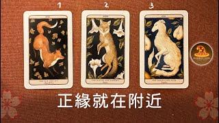 正緣就在附近️無時限指引占卜 / CC(Sub)EN-JP-TC