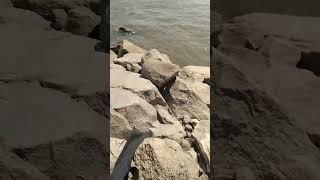 рыбалка на амуре город хобаровск дамба набережная