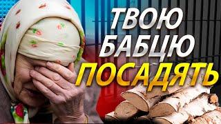 ЗАКОН ПРО ДРОВА - заплати або посадять на 7 років