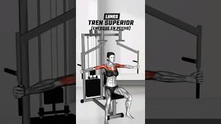 Rutina de 4 días para mejorar tus resultados en el GYM. ‍