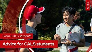 Advice for CALS students, from CALS students