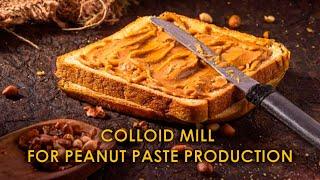 Colloid mill for the peanut paste and peanut butter production