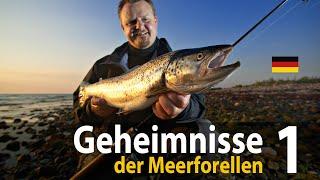 Geheimnisse der Meerforellen 1 Spinnfischen