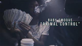 Baby Smoove - "Animal Control" (Official Music Video)