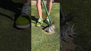 The 4 Most ASMR Ways to Fix a Lawn