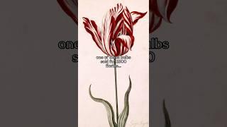 These Tulips Were Worth More Than a House #history #painting #art