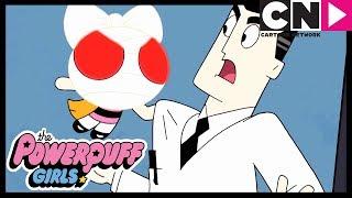 Суперкрошки | Профессор РАЗОЗЛИЛСЯ! | Cartoon Network