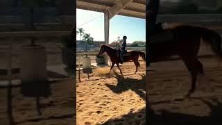 Western (Edit #1b) #foryou #equestrianedit #shorts #western #horses #lope #apha #painthorse #eq #fyp