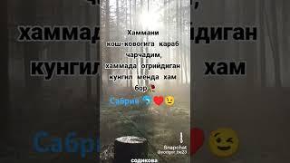 Хает гузал яшашни Сабрия дан урган эй ипос