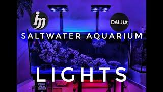 New Saltwater Aquarium Lights | Illumagic X4 | Dalua = BEAST MODE