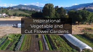 Young Family Creates Abundant Gardens in 2 Years | Inspirational Gardening