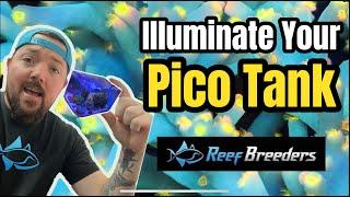 ReefBreeders Pico LED: Game Changer for Nano Tanks